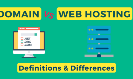 domain vs web hosting