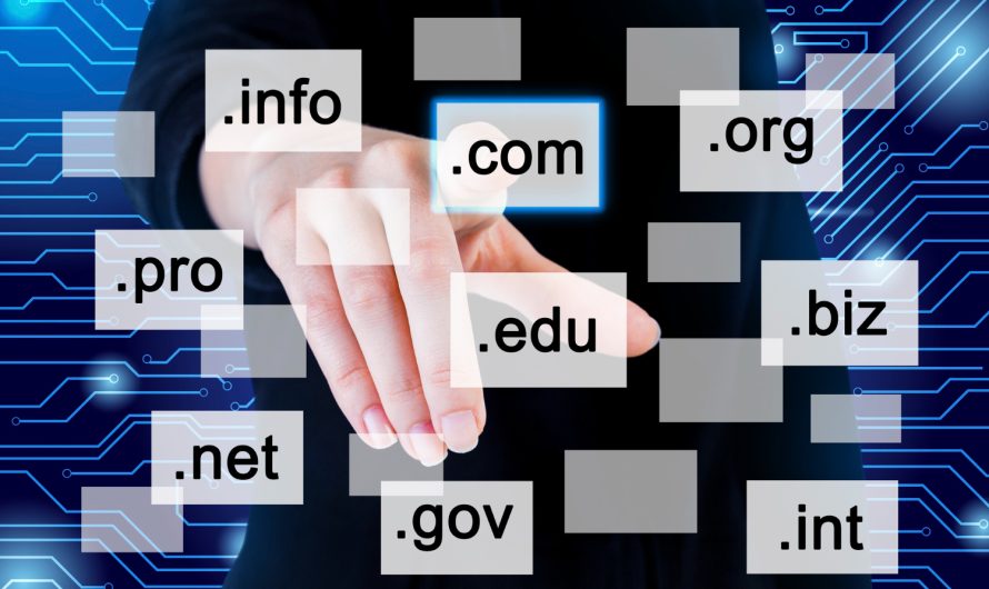 Unveiling the Perfect Pair: A Guide on How to Choose the Right Domain and Hosting Combo